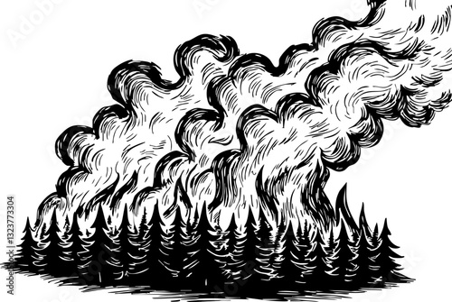 Forest fire eruption woodland area illustration natural environment artistic viewpoint ecological impact