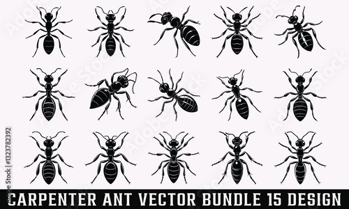 Carpenter Ant Vector Art Bundle – Exquisite hand-drawn artistic illustrations on a simple white background. Professional-grade vector art with remarkable detail and style.
