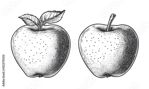 Hand-drawn apple icons set featuring detailed leaf and stem illustrations, black and white vector, linear.