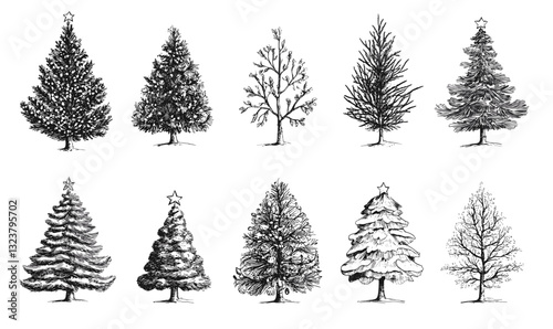 Hand-drawn christmas tree collection with various styles, vector, linear icons set.