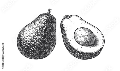 Fresh avocado whole and halved vector - linear style icons set.