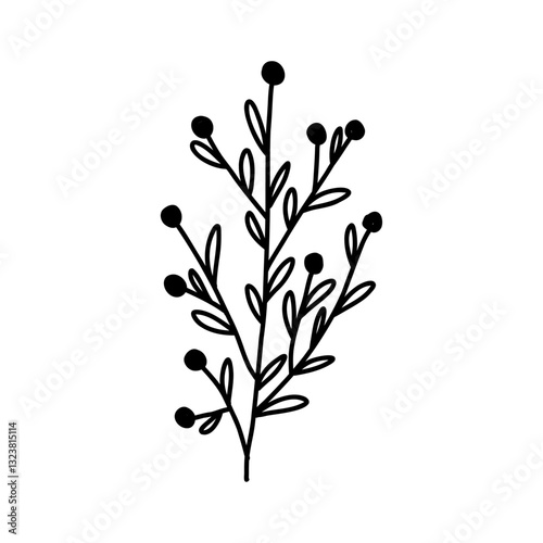 Hand drawn winter plant with leaves and berries in cute doodle style, vector illustration isolated on white background. Floral Christmas decoration outline drawing.