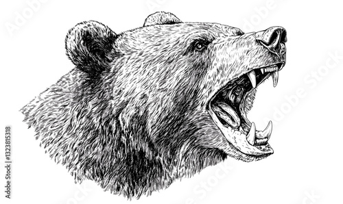 Roaring bear head, detailed animal sketch, monochrome wildlife art, linear icons set, vector.