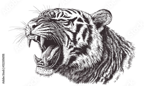 Roaring tiger head with detailed fur and fierce expression, linear icons set, vector.