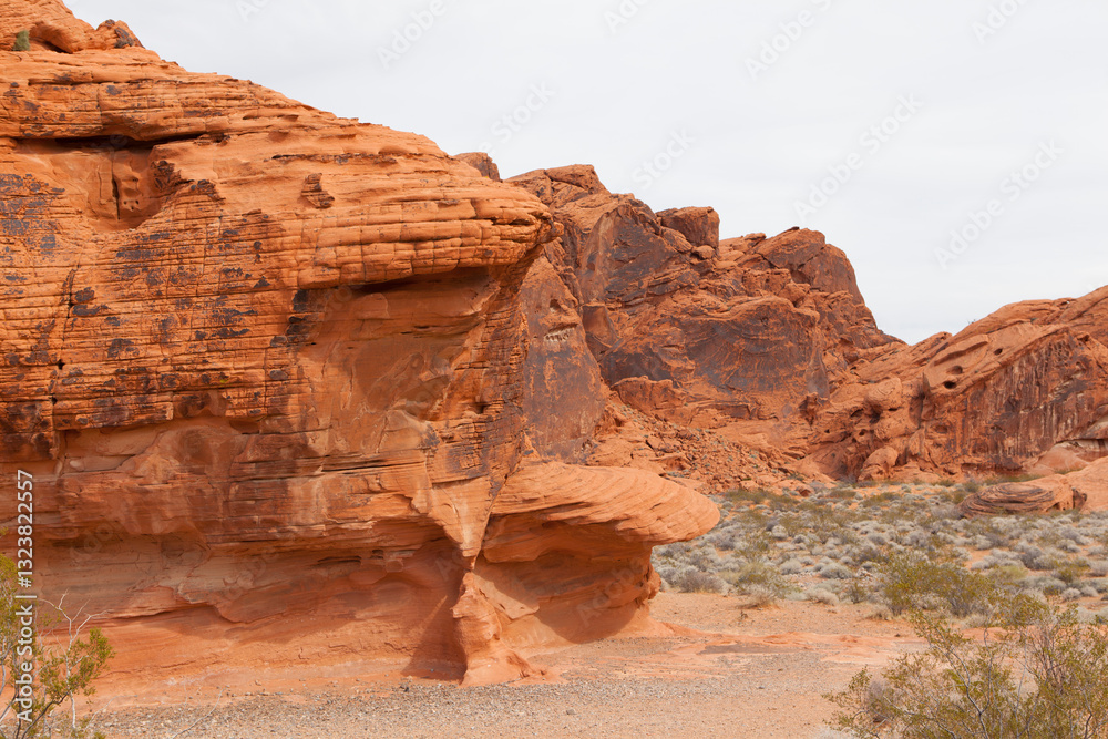 Fototapeta premium USA Nevada Valley of Fire on a cloudy spring day