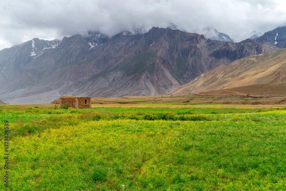 Fototapeta premium meadow in the mountains.