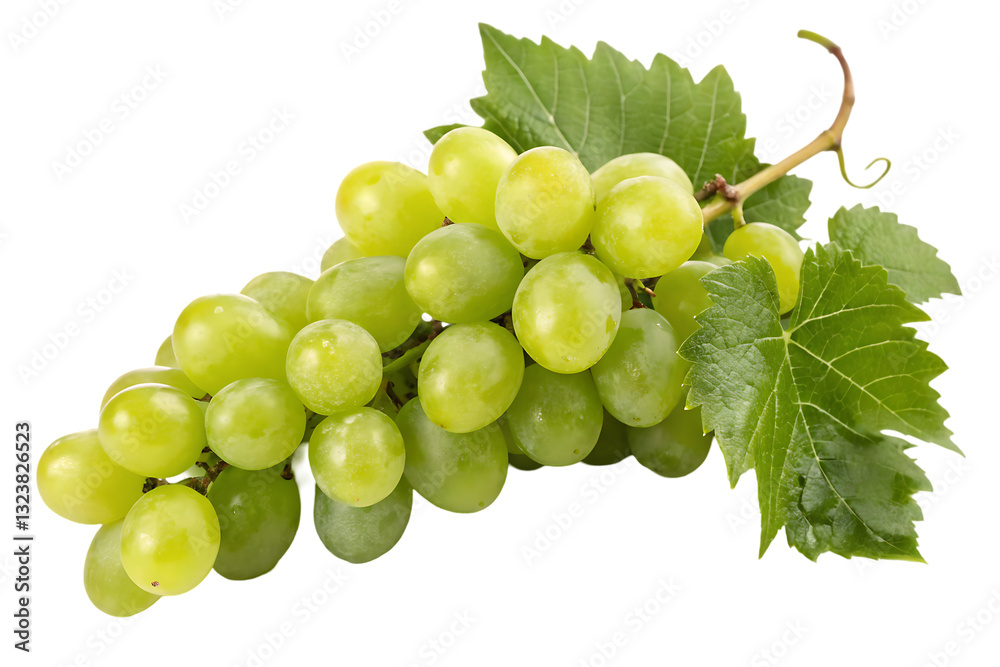 Obraz premium Fresh green grapes with leaves, isolated on black background.