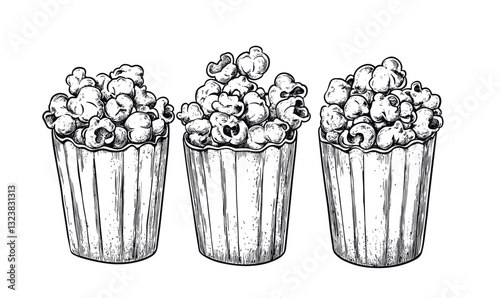 Popcorn buckets vector, flat icons set – three variants in line art style.