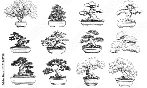 Detailed bonsai trees collection, flat icons set, vector.