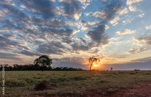 sunset in the cerrado in Minas Gerais, Brazil