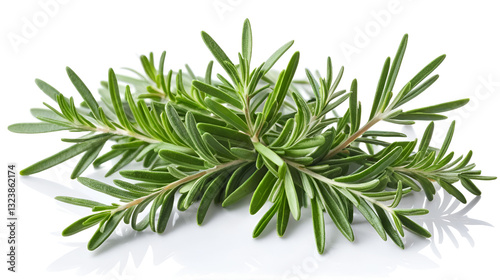 Rosemary herb spice on white background