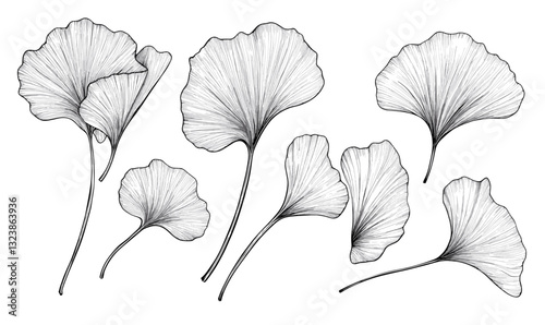 Ginkgo biloba leaves collection, botanical art vector, linear icons set.