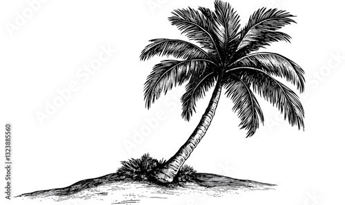 Tropical palm tree on sandy beach, exotic island oasis, vector, linear icons set.