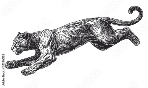 Leaping panther illustration in motion, nature wildlife art, animal silhouette, vector, linear style icons set.