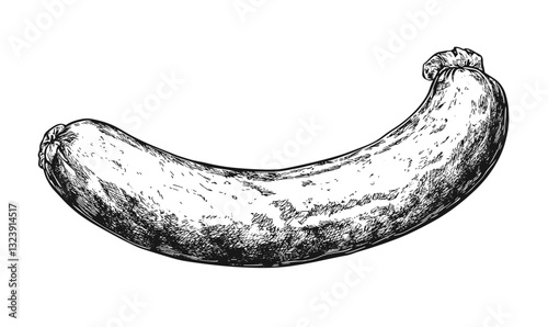 Hand-drawn banana illustration in linear style - fruits icons set vector.