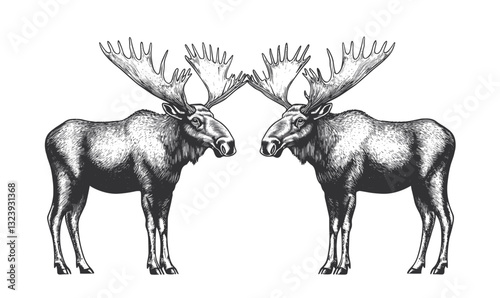 Two symmetrical moose facing each other, nature wildlife icons set, linear style vector.