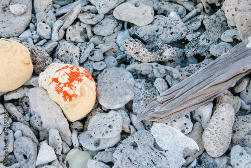 Horizontal shot of an old buoy on coral beach with driftwood detail. photo