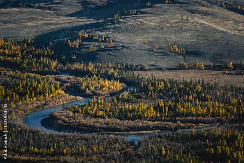 A panoramic view of a river surrounded by golden autumn foliage in the Altai Republic, capturing the beauty of the season and serene nature.