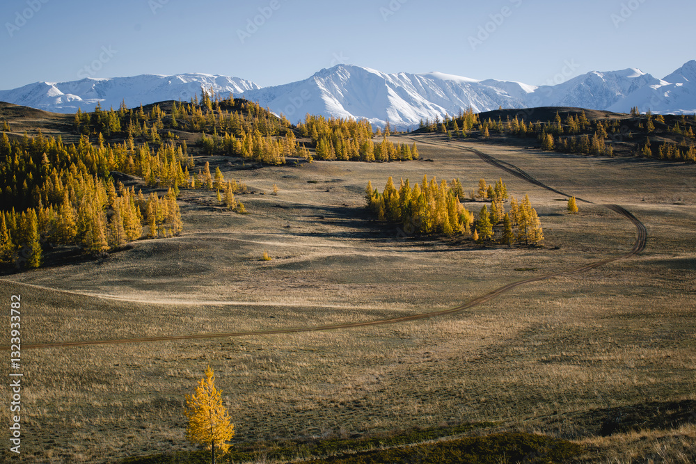 Snow-capped mountains in the background of an autumn pastoral scene in the mountainous Altai Republic, showcasing the harmony of nature.