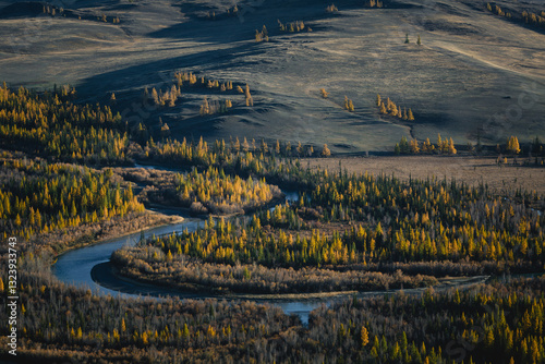 Obraz na płótnie A panoramic view of a river surrounded by golden autumn foliage in the Altai Republic, capturing the beauty of the season and serene nature. w salonie