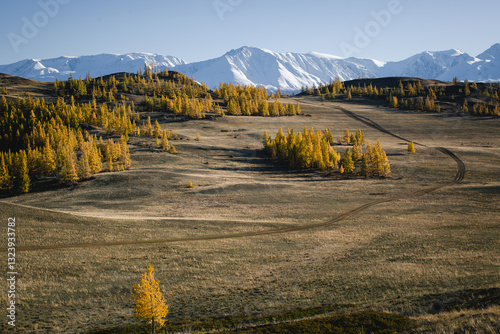Obraz na płótnie Snow-capped mountains in the background of an autumn pastoral scene in the mountainous Altai Republic, showcasing the harmony of nature. w salonie