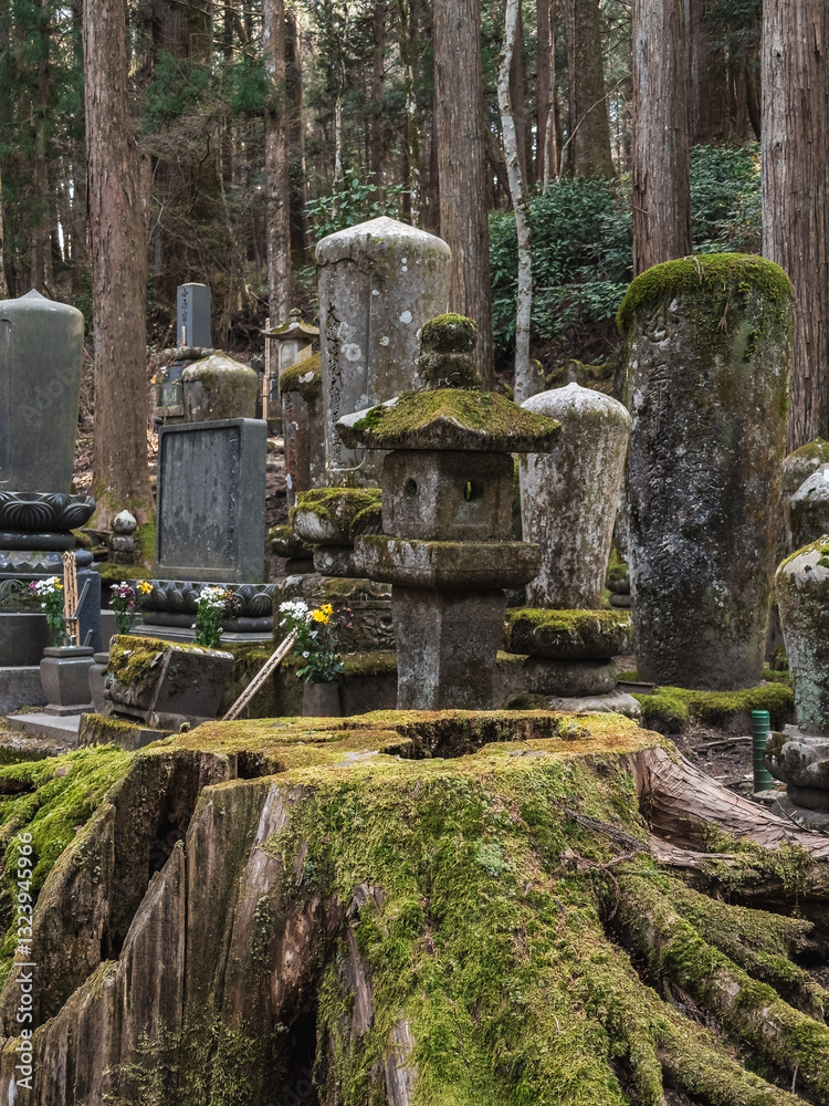 Koyasan Okunoin Cemetery Peace
