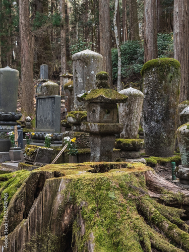 Obraz na płótnie Koyasan Okunoin Cemetery Peace w salonie