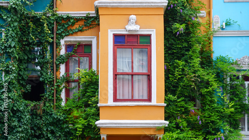 old house with flowers and windows