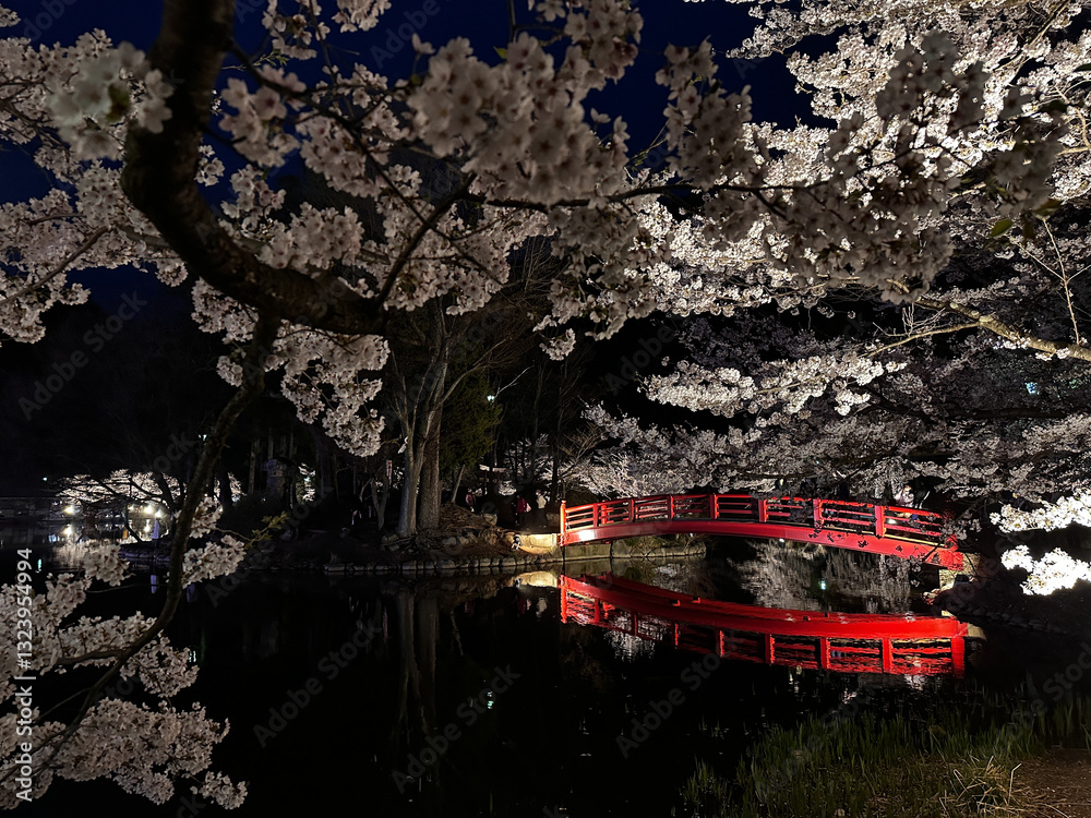 Illuminated Cherry Blossoms and Red Bridge at Twilight