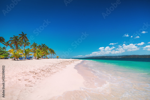 Fototapeta Naklejka Na Ścianę i Meble -  Tropical beach Caribbean Sea and Exotic Palm trees on Bacardi Island Cayo Levantado Samana Bay Dominican Republic