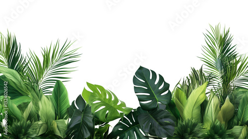 Fototapeta Naklejka Na Ścianę i Meble -  Tropical leaves foliage plant jungle bush floral arrangement nature backdrop isolated on white background.	
