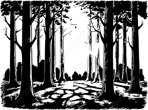 Mysterious forest scene silent woods black and white artwork serene environment eye-level perspective nature's solitude