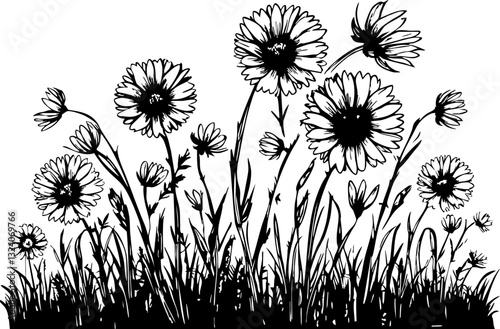 Daisy flower field blooming in spring nature artwork outdoor garden vibrant aesthetic viewpoint