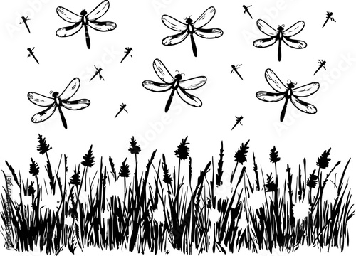 Dragonflies fluttering over grassy marshland nature illustration serene environment close-up view artistic concept