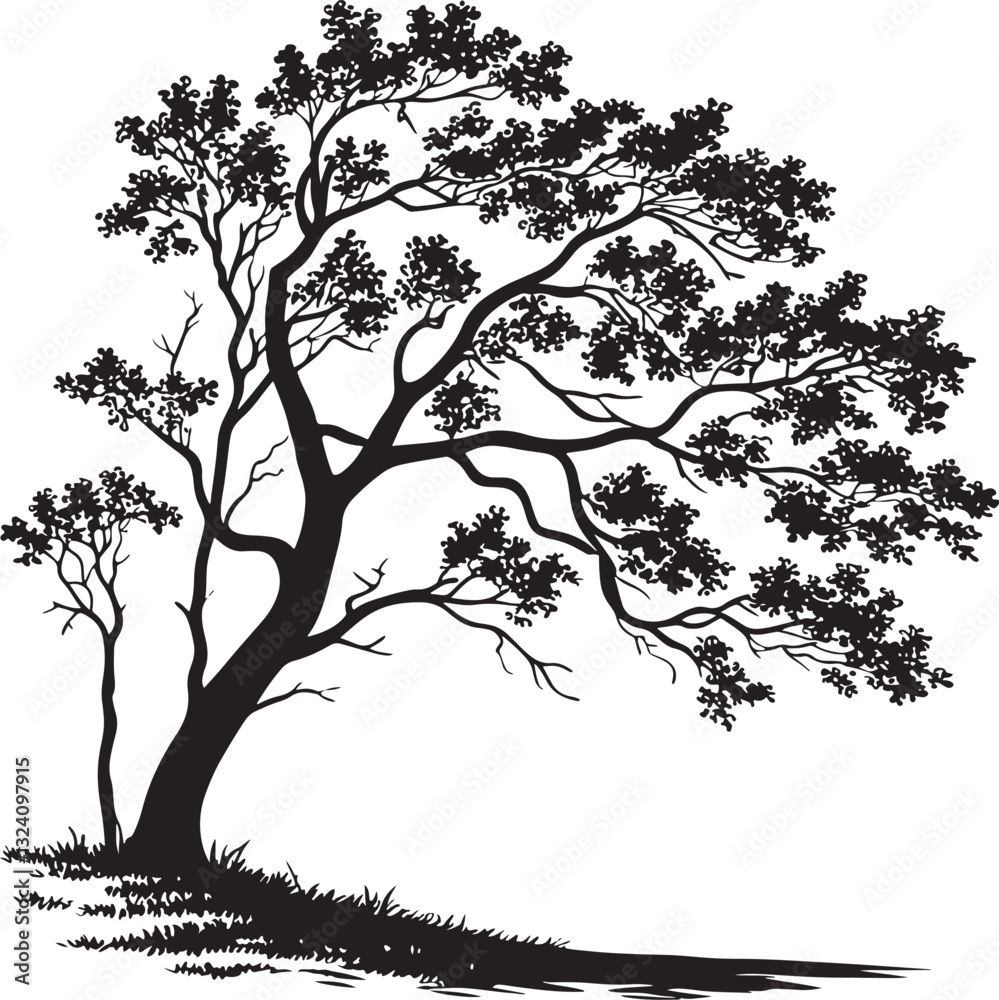Obraz premium Maple tree silhouette vector illustration
