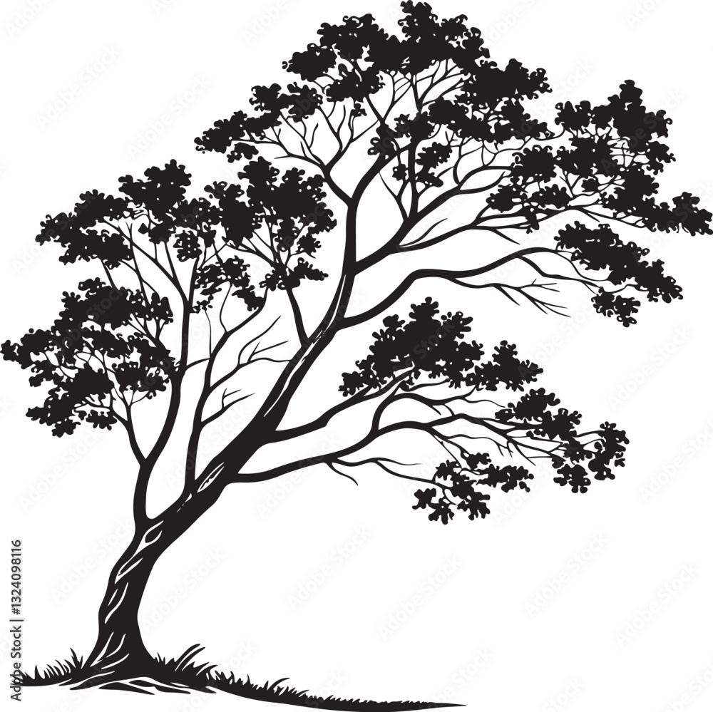 Maple tree silhouette vector illustration Maple tree silhouette vector illustration