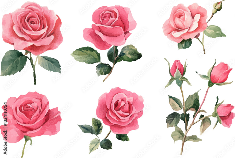 Naklejka premium Modern Watercolor Pink Rose Clipart
