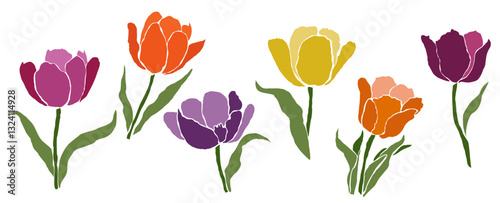 Set of tulip multicolor flowers. April birth month flowers Flat vector illustrations isolated on transparent background