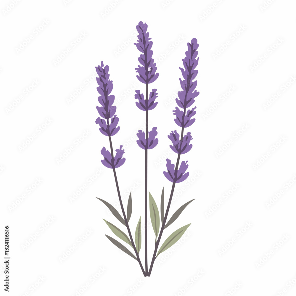 Obraz premium My Simple flat 2D icon purple lavender branch with leaf isolated on a white background, vector, flat design, animation design, simple flat 2D icon, minimalist design, clipart
