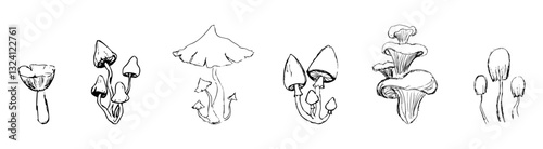 Mushroom sketch doodle drawing, fantasy forest line plant. Set botanical hand drawn mushrooms. Tattoo sign Linear.