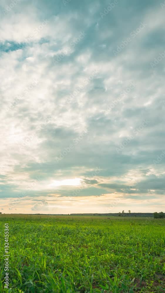 Rain Rainy Clouds Above Countryside Rural Field Landscape With Young Green Wheat Sprouts In Summer Cloudy Sunset Evening. Heavy Clouds Above Agricultural Field. Young Wheat Shoots time-lapse Rain Rainy Clouds Above Countryside Rural Field Landscape With Young Green Wheat Sprouts In Summer Cloudy Sunset Evening. Heavy Clouds Above Agricultural Field. Young Wheat Shoots time-lapse