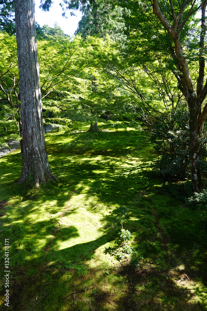 Obraz premium 緑が深い京都大原の仏教寺院の庭園