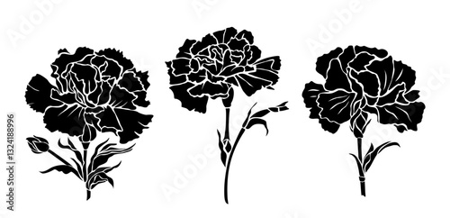 Set of Carnation flower silhouettes. January birth month flower print, logo, icons. Botanical floral outline drawing. Hand drawn monochrome black vector illustrations isolated 
