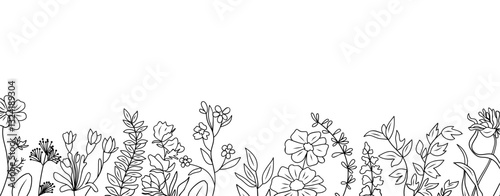 Wild blooming meadow flowers and herbs border. Horizontal banner, floral overlay backdrop. Botanical monochrome ink sketch style outline drawing vector illustration isolated on transparent background.