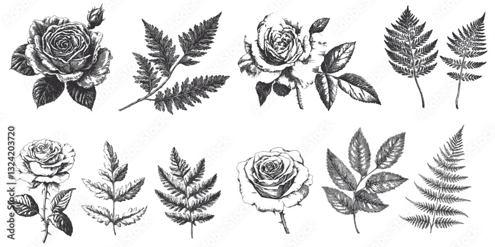 Botanical garden set in grayscale with rose and fern for vintage design inspiration