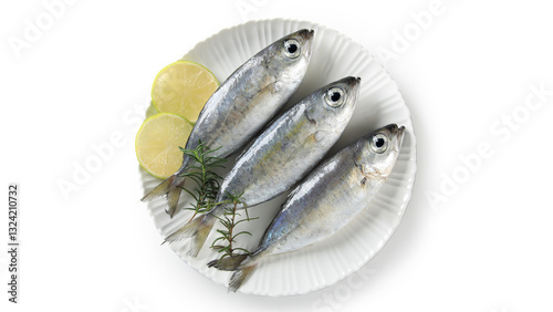 Fish of the family Carangidae, decorative framed on a black background photo