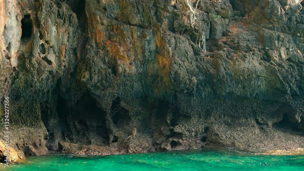 A lonesome monkey, wondering on the rocks by the edge of the Turquoise ocean waters. a handheld clip, taken from a boat. Koh Phi Phi, Thailand. A lonesome monkey, wondering on the rocks by the edge of the Turquoise ocean waters. a handheld clip, taken from a boat. Koh Phi Phi, Thailand.