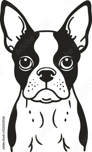 black and white illustration of a boston terrier with attentive expression and distinctive features
