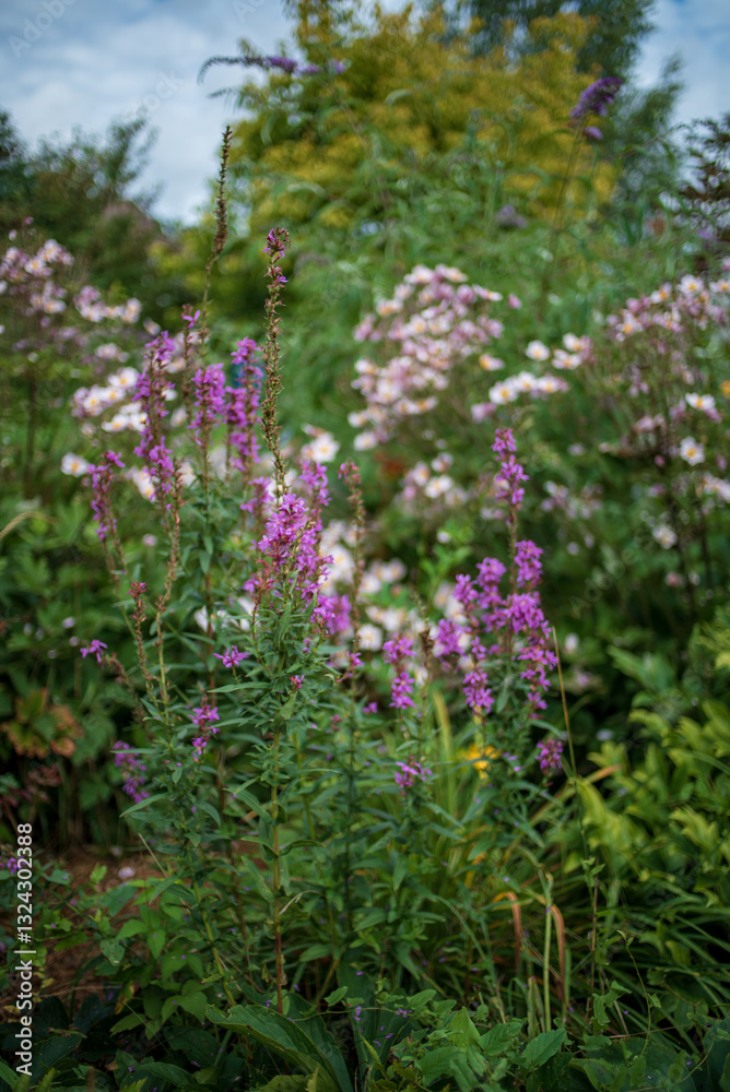 Colorful wildflowers sway gently in the breeze, surrounded by lush greenery and blooming plants Colorful wildflowers sway gently in the breeze, surrounded by lush greenery and blooming plants