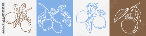 Hand drawn lemon branch harvest set in sketch style. Amalfi doodle drawing for t-shirt print, invitation, card, design. Italian Dolce vita summer element.	